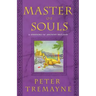 Master of Souls: A Mystery of Ancient Ireland