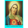 Mary's Immaculate Heart: The Meaning of Devotion to the Immaculate Heart of Mary