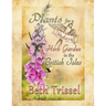 Plants for a Medieval Herb Garden in the British Isles