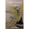 Yellow Chested Swallow