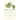 Metazoa: Animal Life and the Birth of the Mind