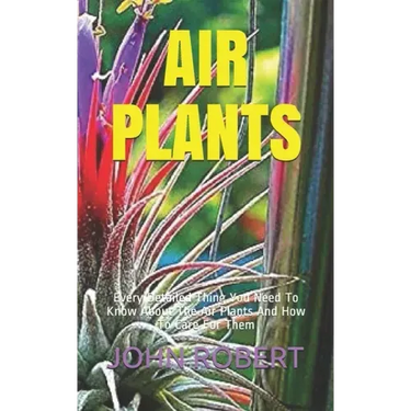 Air Plants: Every Detailed Thing You Need To Know About The Air Plants And How To Care For Them