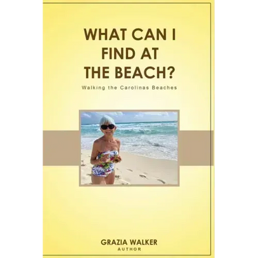 What Can I Find at the Beach?
