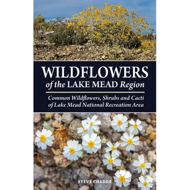 Wildflowers of the Lake Mead Region
