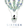 Sixteen: A Compilation of Poems