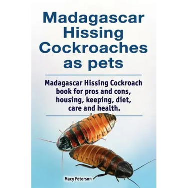 Madagascar hissing cockroaches as pets. Madagascar hissing cockroach book for pros and cons, housing, keeping, diet, care and health.