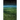 The Word for World Is Forest