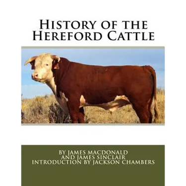 History of the Hereford Cattle
