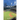 Home Run