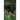 The Jungle God