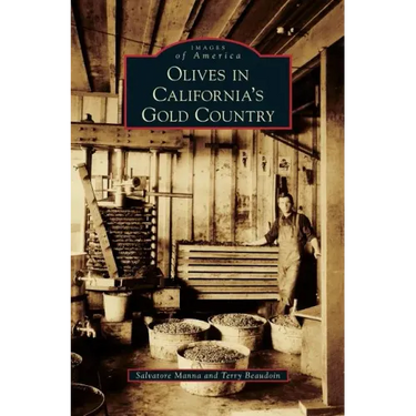 Olives in California's Gold Country