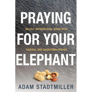 Praying for Your Elephant: Boldly Approaching Jesus with Radical and Audacious Prayer