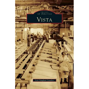 Vista