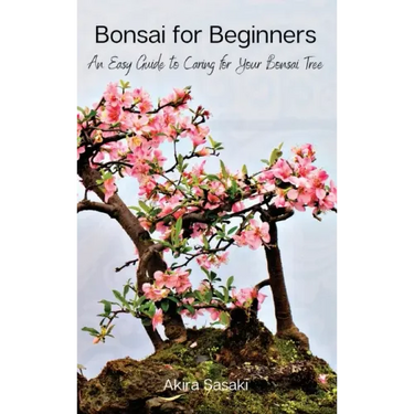 Bonsai for Beginners: An Easy Guide to Caring for Your Bonsai Tree