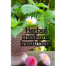 Herbal medicine treatment: Infertility Herbal Treatment, Male Sex Enhancement, Diabetes Treatment, Heart Disease, Chinese Herbal Treatment, Sulta