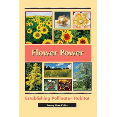 Flower Power: Establishing Pollinator Habitat