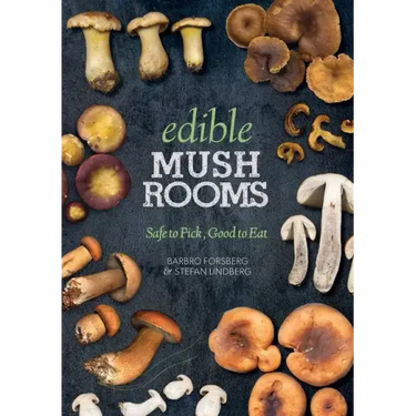 Edible Mushrooms: Safe to Pick, Good to Eat