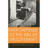 What Happened to the Ark of the Covenant?: And Other Bible Mysteries