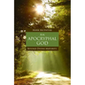 An Apocryphal God: Beyond Divine Maturity
