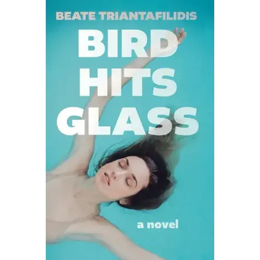 Bird Hits Glass