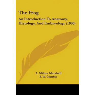 The Frog: An Introduction To Anatomy, Histology, And Embryology (1906)