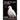 Through the Eyes of a Dove: A Book for Bereaved Parents