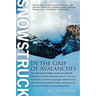 Snowstruck: In the Grip of Avalanches