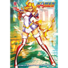 Kamen America, Vol. 5: Success and Nobleness