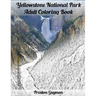 Yellowstone National Park Adult Coloring Book