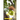 Against Race- And Class-Based Pedagogy in Early Childhood Education