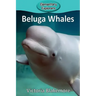 Beluga Whales