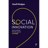 Social Innovation: How Societies Find the Power to Change