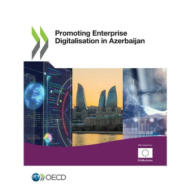 Promoting Enterprise Digitalisation in Azerbaijan