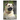 Anatolian Shepherd: Dog breed overview and guide