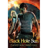 Black Hole Sun