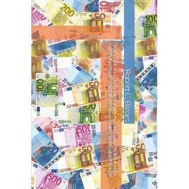 Water Risk and Financial Stability: An Our Future Water Insight on Central Banks, Climate Resilience, and Sustainable Finance