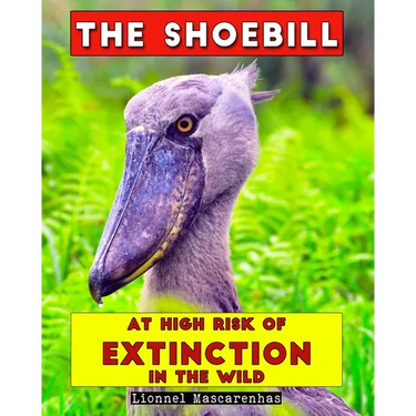 The Shoebill: At high risk of extinction in the wild