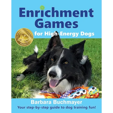 Enrichment Games for High-Energy Dogs: Your step-by-step guide to dog training fun!