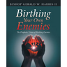 Birthing Your Own Enemies: The Prophetic Vision of Birthing Enemies
