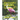 Backyard Birds of Florida