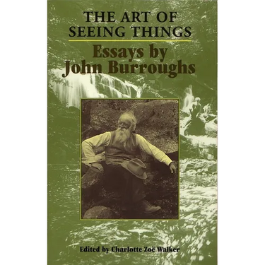 The Art of Seeing Things