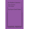 In Darkest America