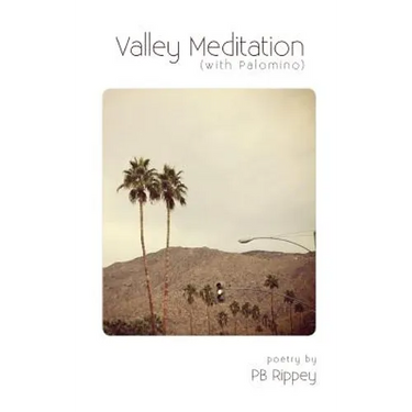 Valley Meditation (with Palomino)