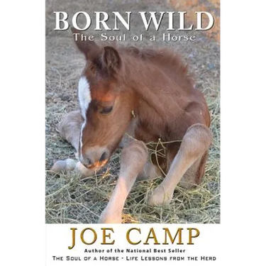 Born Wild - The Soul of a Horse