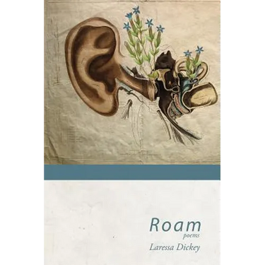 Roam