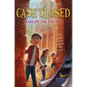 Case Closed #4: Danger on the Dig
