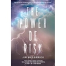 The Power of Risk: How Intelligent Choices Will Make You More Successful--A Step-by-Step Guide