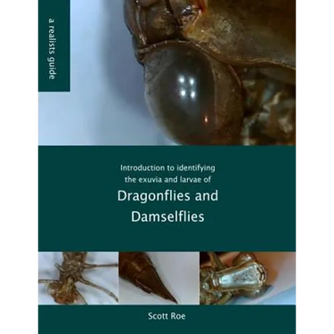 Introduction to identifying the exuvia and larvae of Dragonflies
