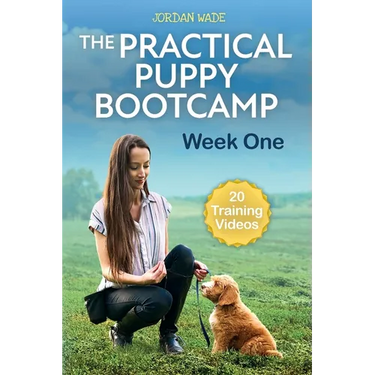 The Practical Puppy Bootcamp: Week One