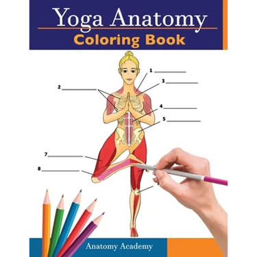 Yoga Anatomy Coloring Book: 3-in-1 Collection Set 150+ Incredibly Detailed Self-Test Beginner, Intermediate & Expert Yoga Poses Color workbook